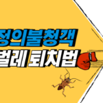 좀벌레 퇴치법