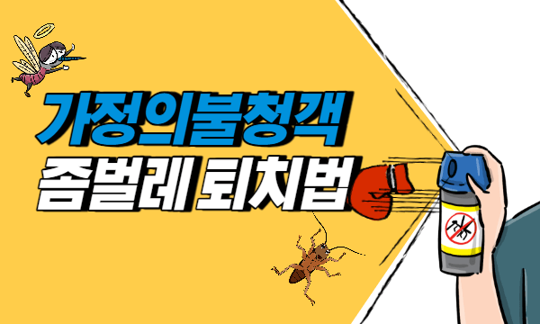 가정에서 좀벌레 퇴치하는 방법
