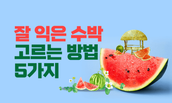 수박 고르는 법