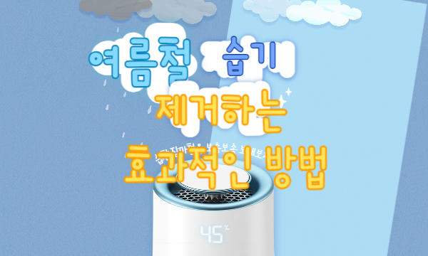 여름 철 습기 제거하는 효과적인 방법